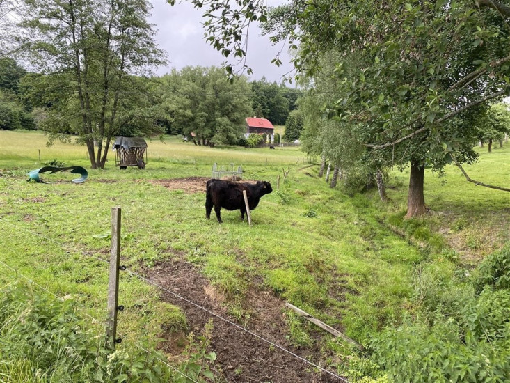 Zemědělská půda 4.190 m2, Maxičky, obec Děčín